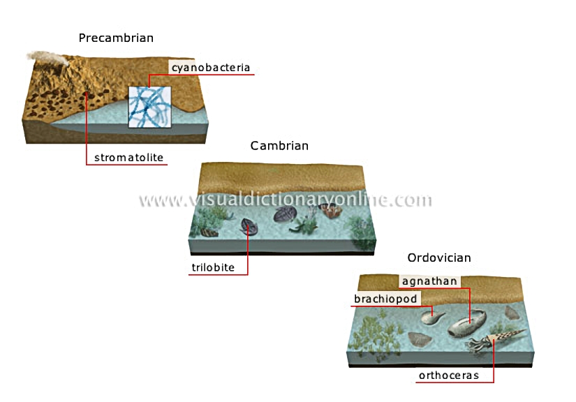 origin and evolution of species [1]