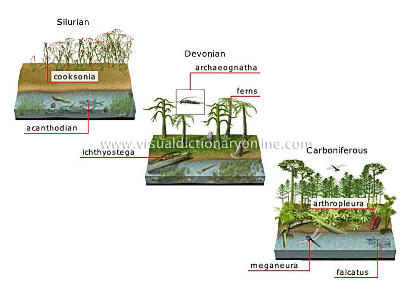 origin and evolution of species [2]