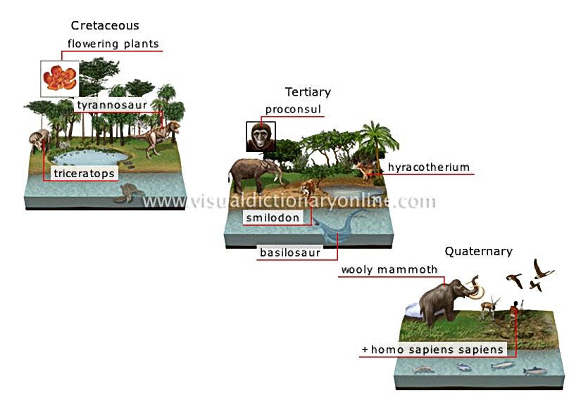 origin and evolution of species [4]