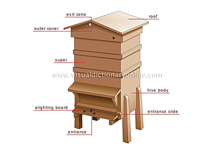 hive [1]