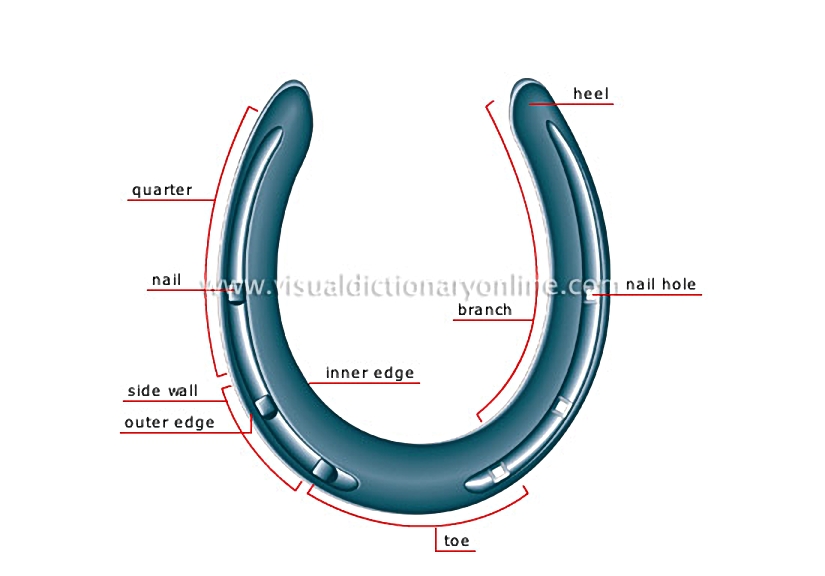 horseshoe