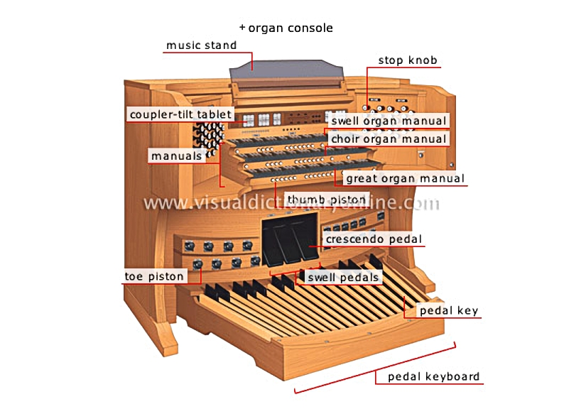 organ [1]