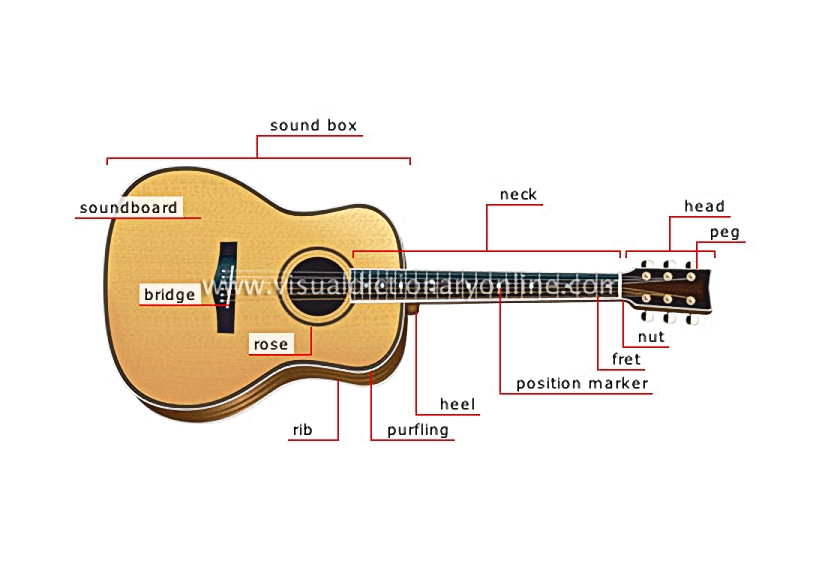 acoustic guitar