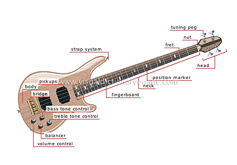 bass guitar
