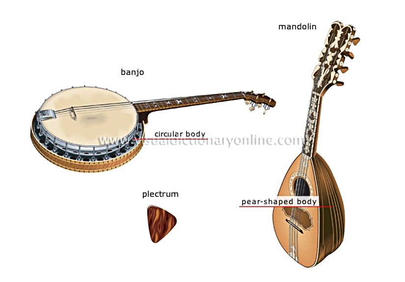 traditional musical instruments [4]