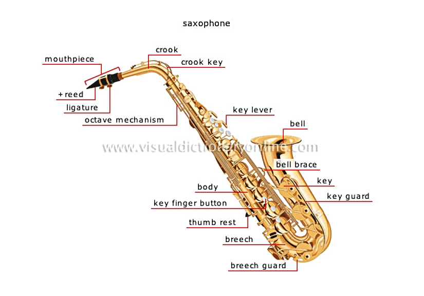 wind instruments [1]