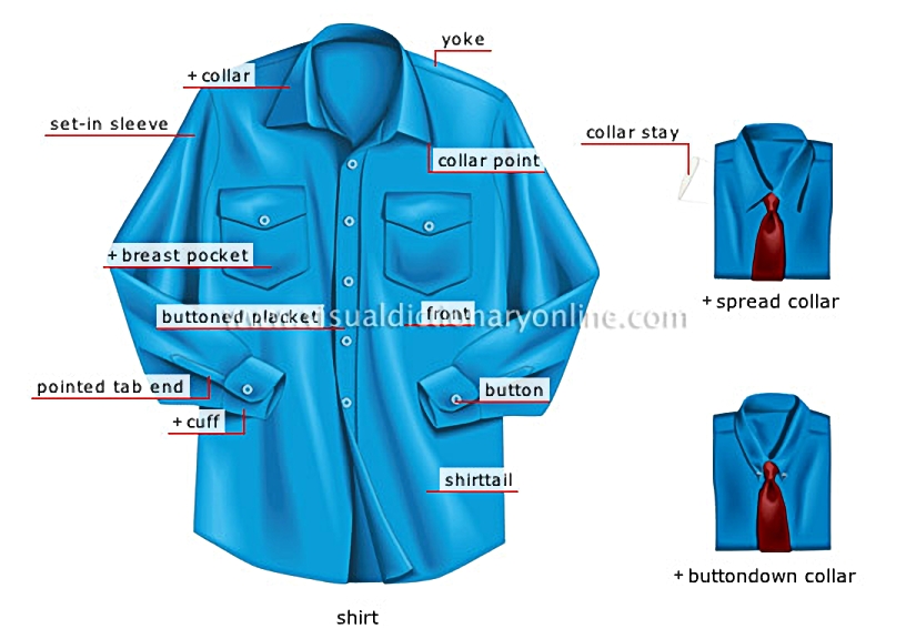 shirt [1]