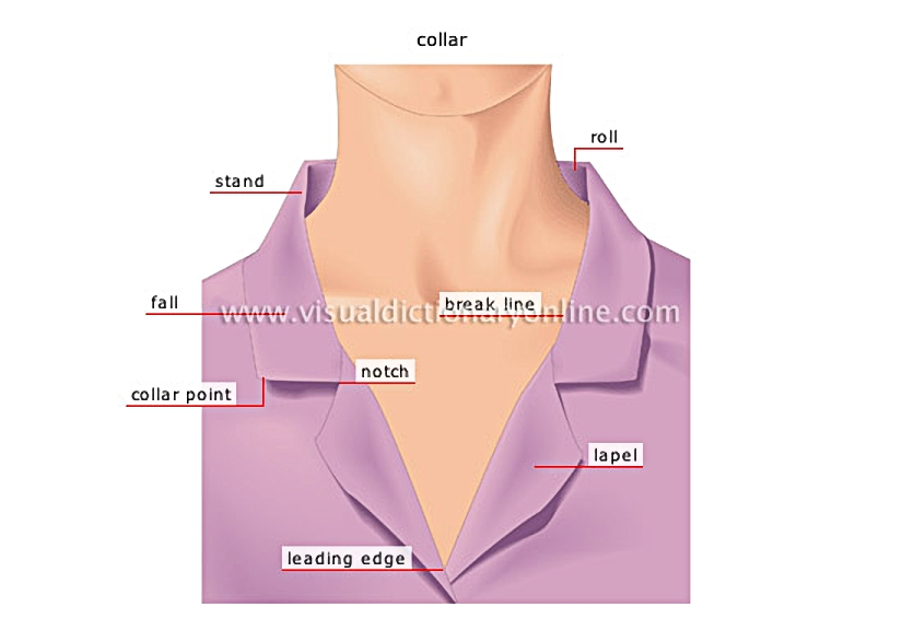examples of collars [1]
