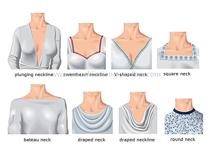 necklines and necks