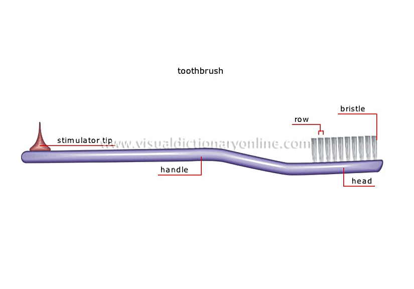 dental care [1]