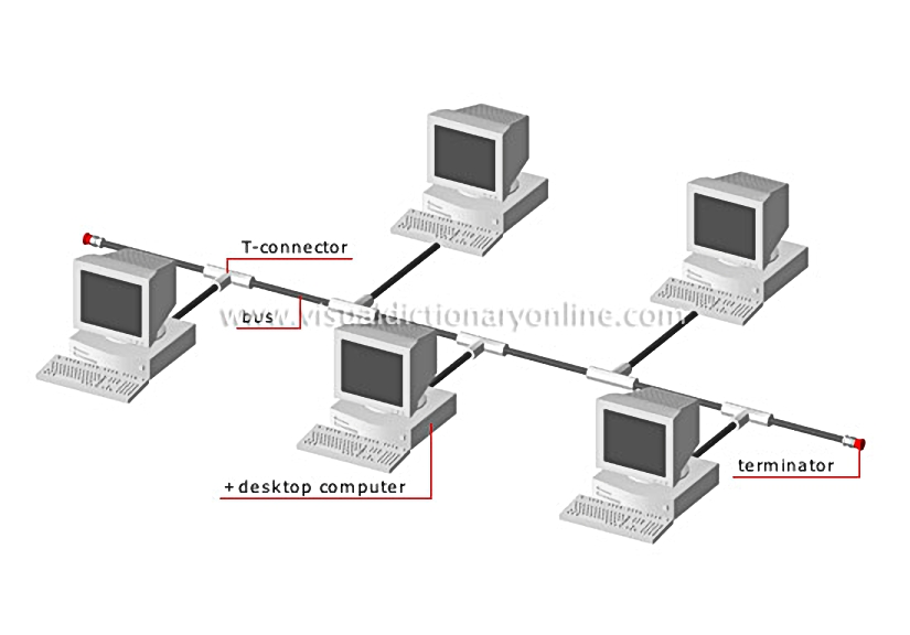 bus network