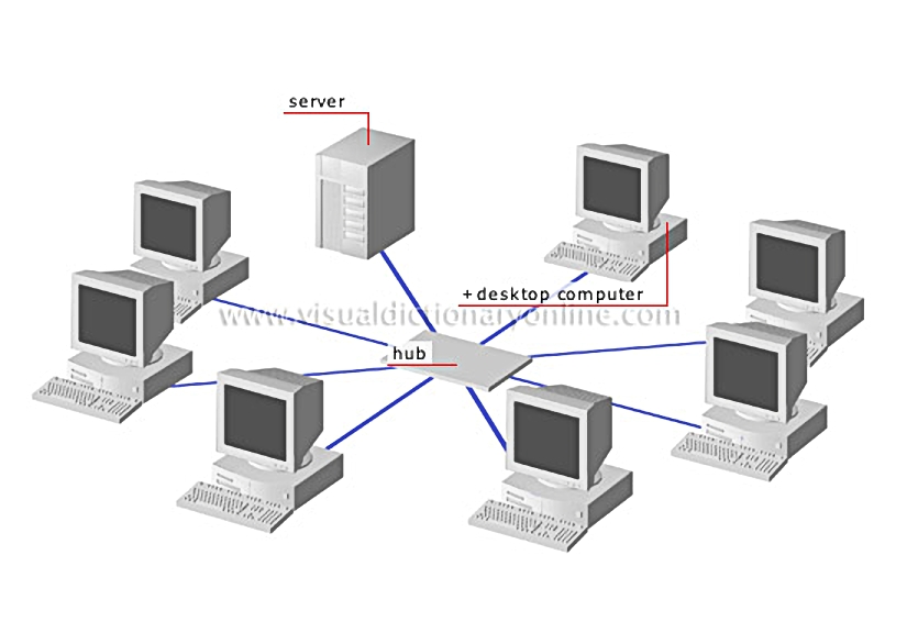 star network