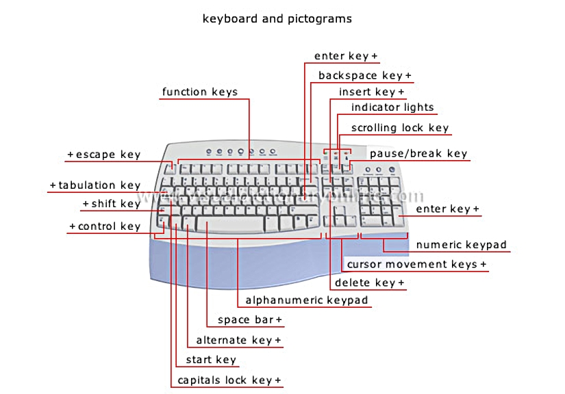 input devices [1]