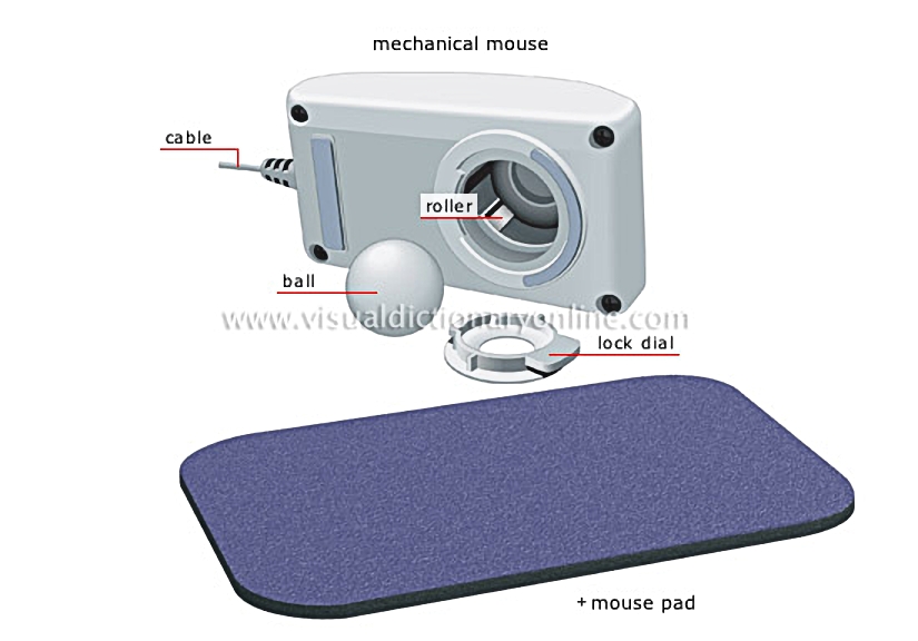 input devices [5]