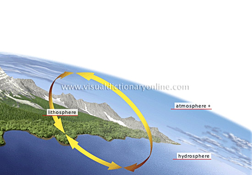 structure of the biosphere