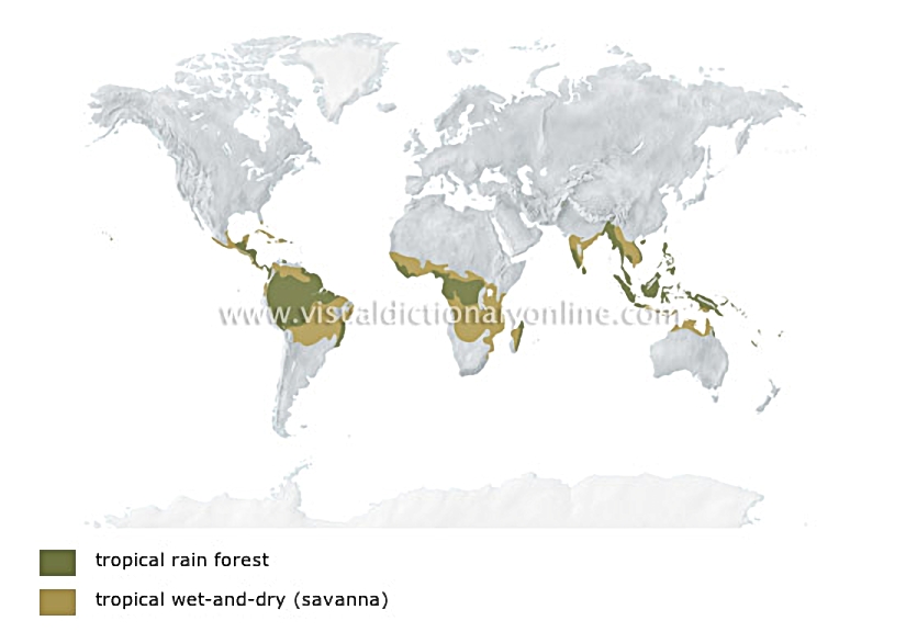 tropical climates