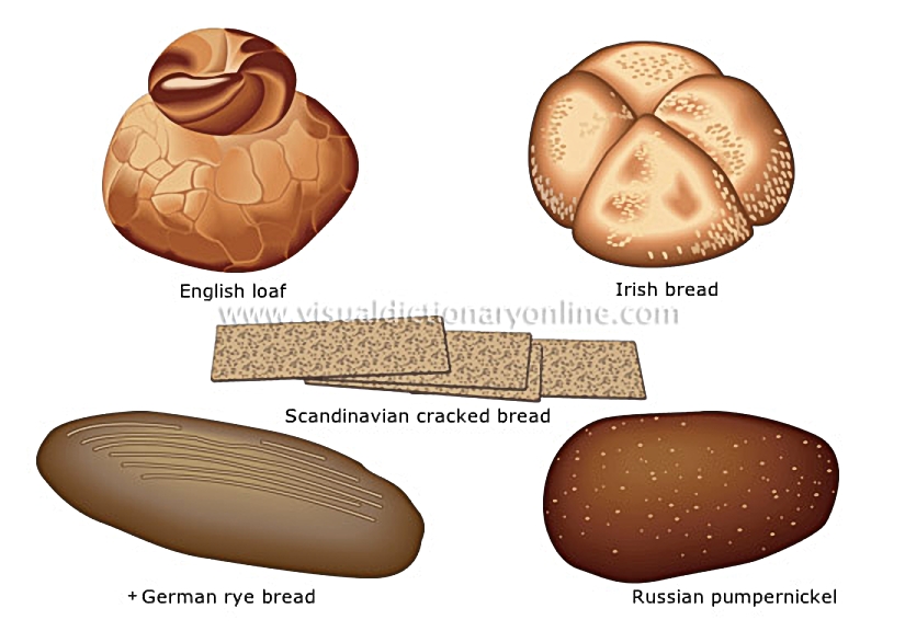 bread [3]