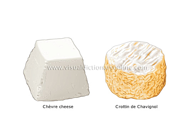 goat’s-milk cheeses