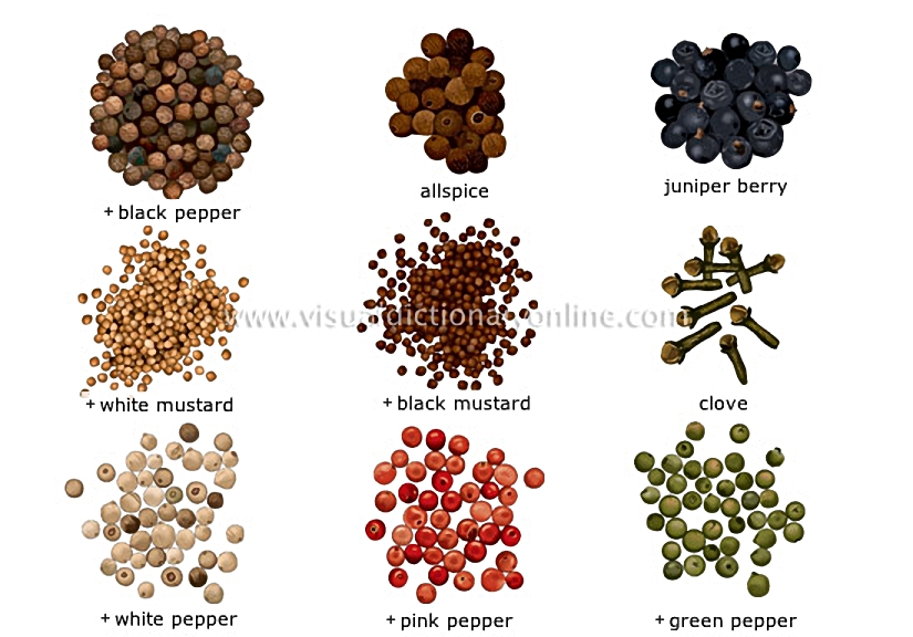 spices [1]