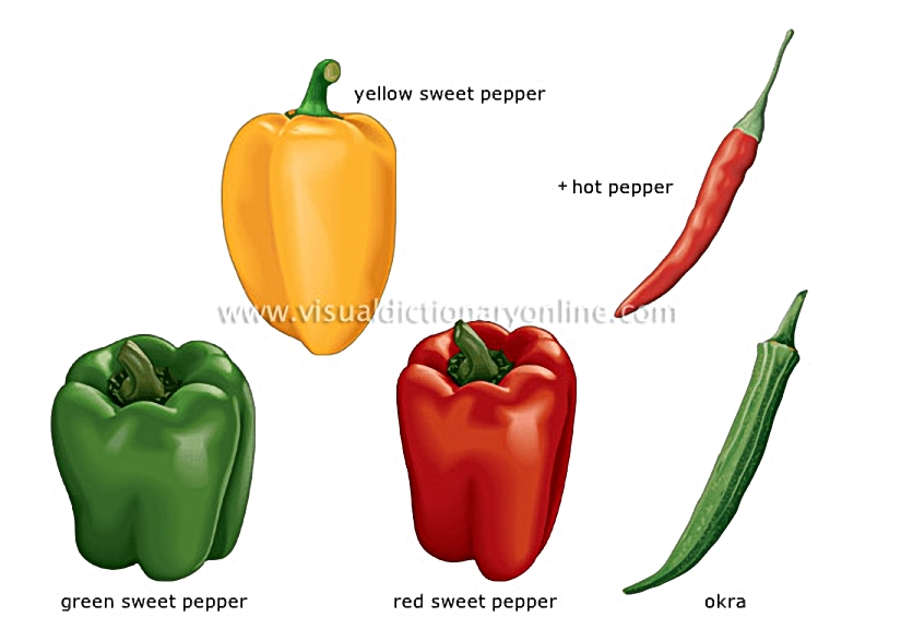 fruit vegetables [2]
