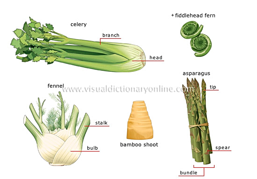 stalk vegetables [1]