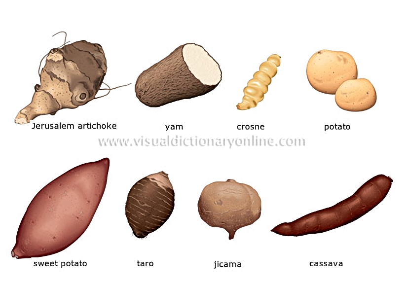 tuber vegetables