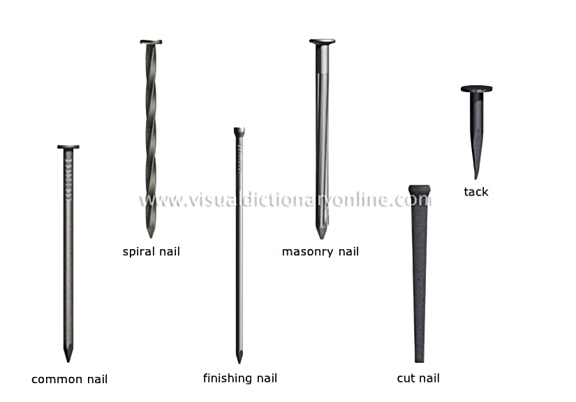 examples of nails