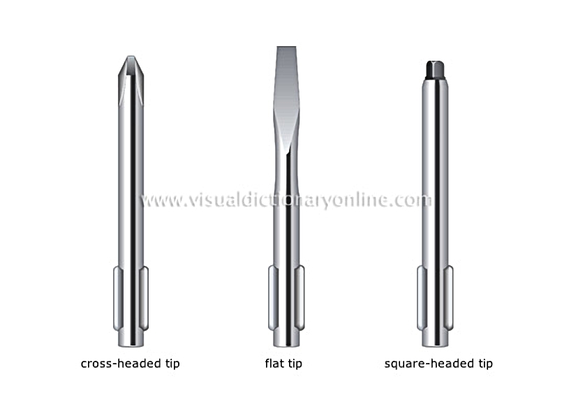 examples of tips