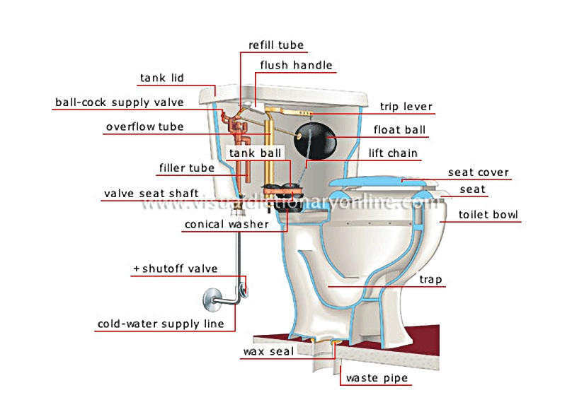 toilet