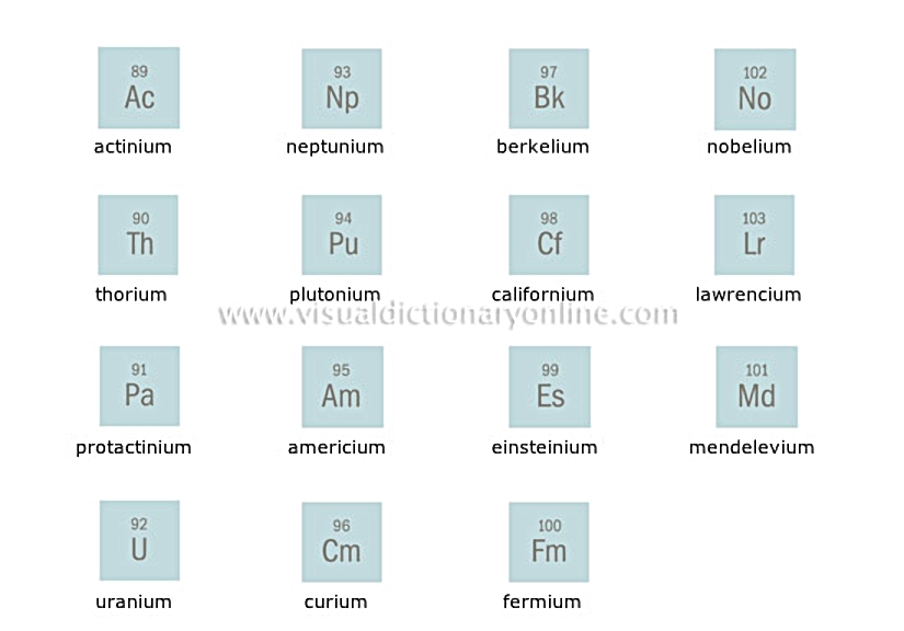actinides