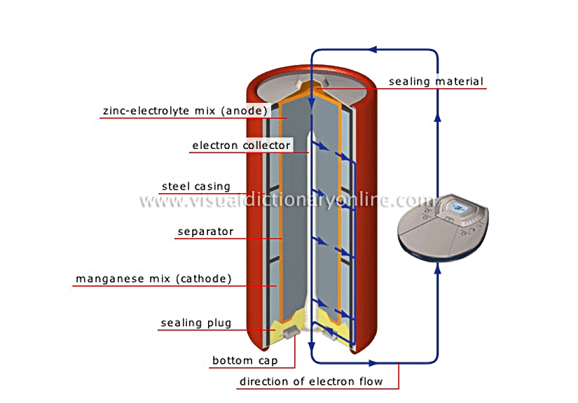 alkaline manganese-zinc cell