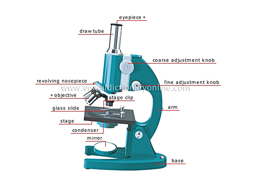 microscope