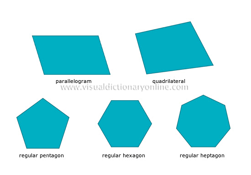 polygons [2]