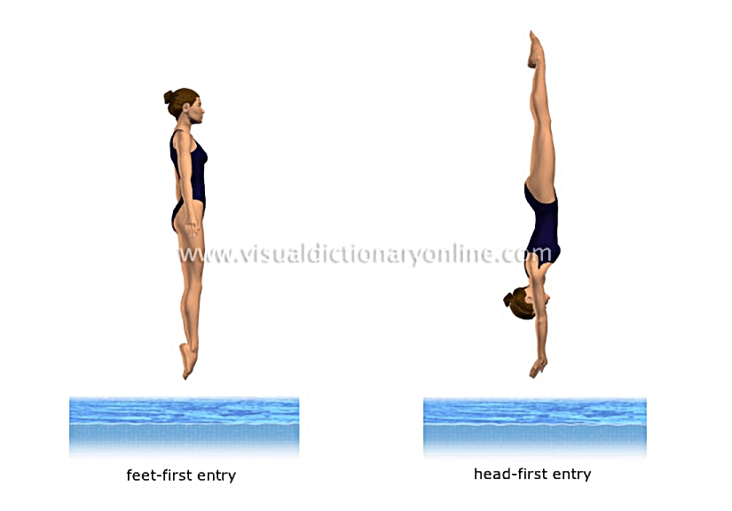 entries