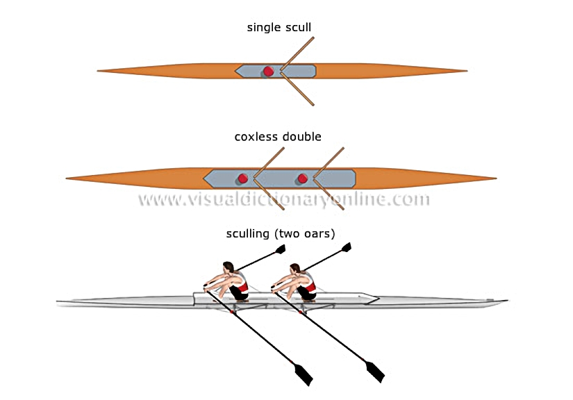 sculling boats