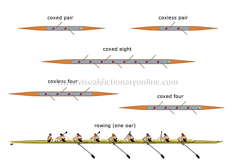 sweep boats