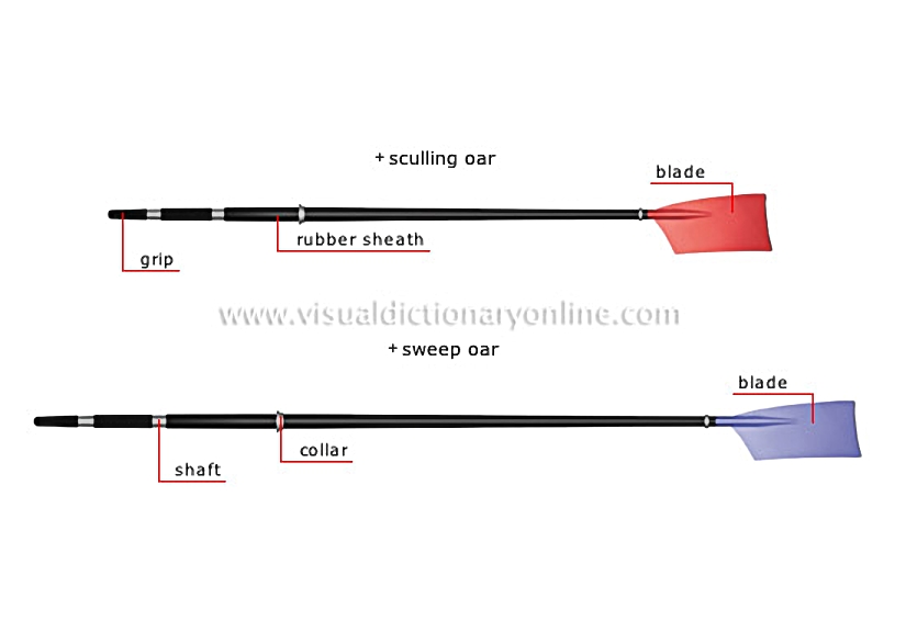 types of oars
