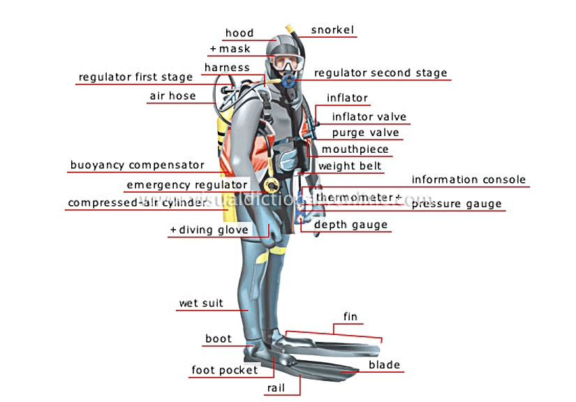 scuba diver