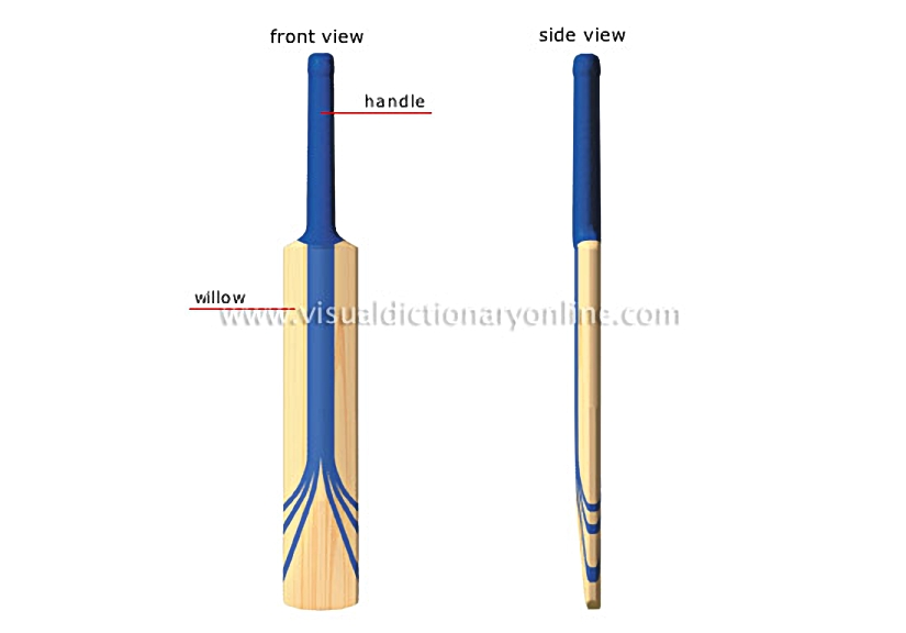bat