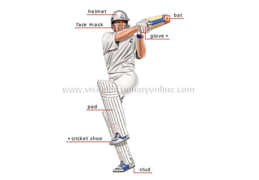 cricket player: batsman