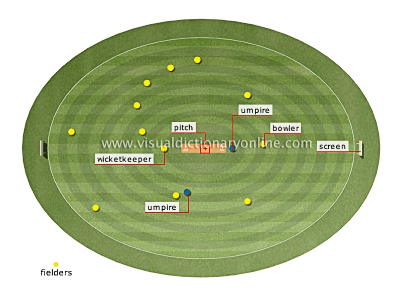 field [1]
