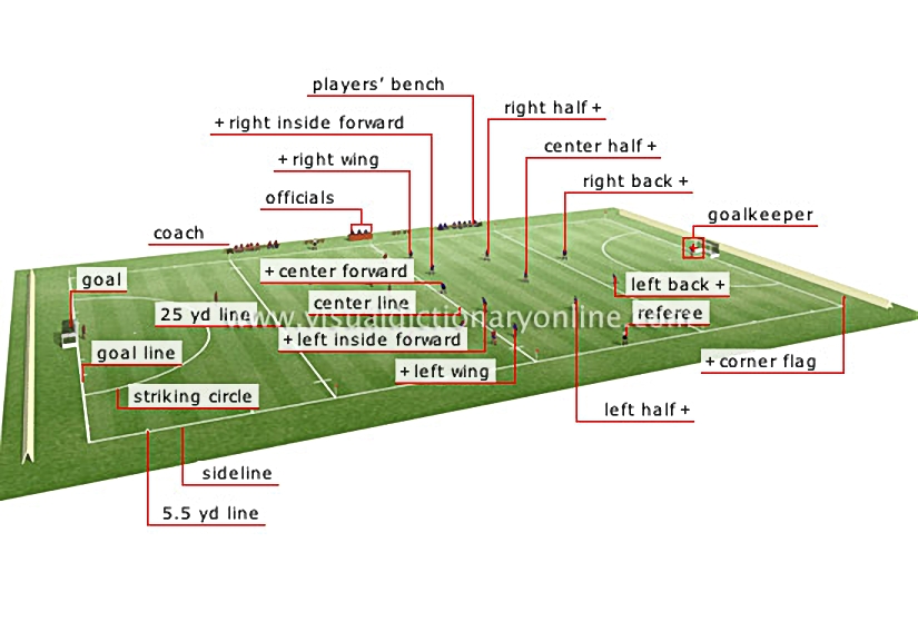 playing field