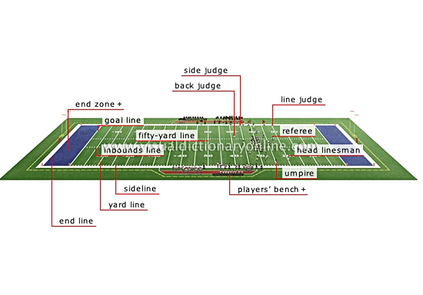 playing field