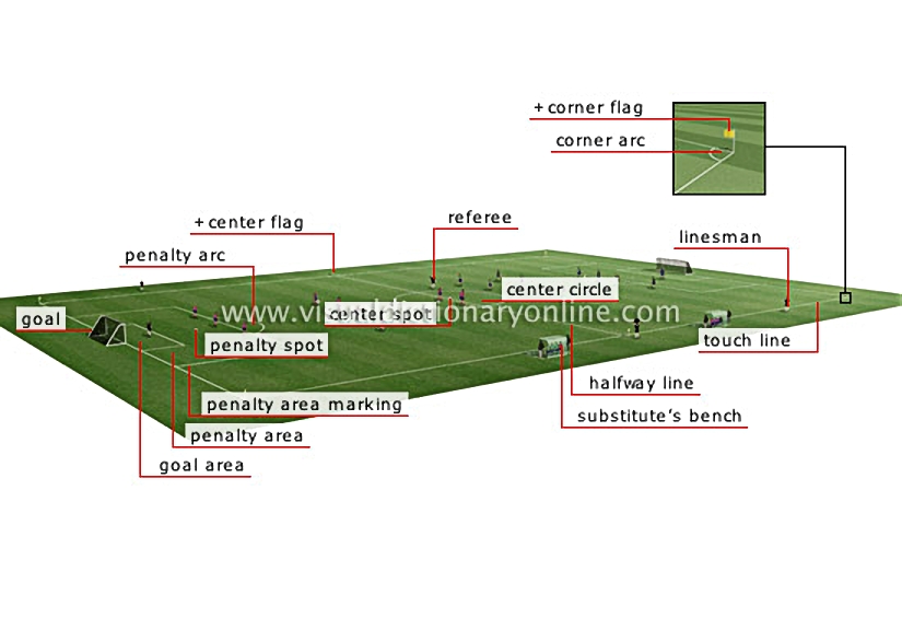 playing field