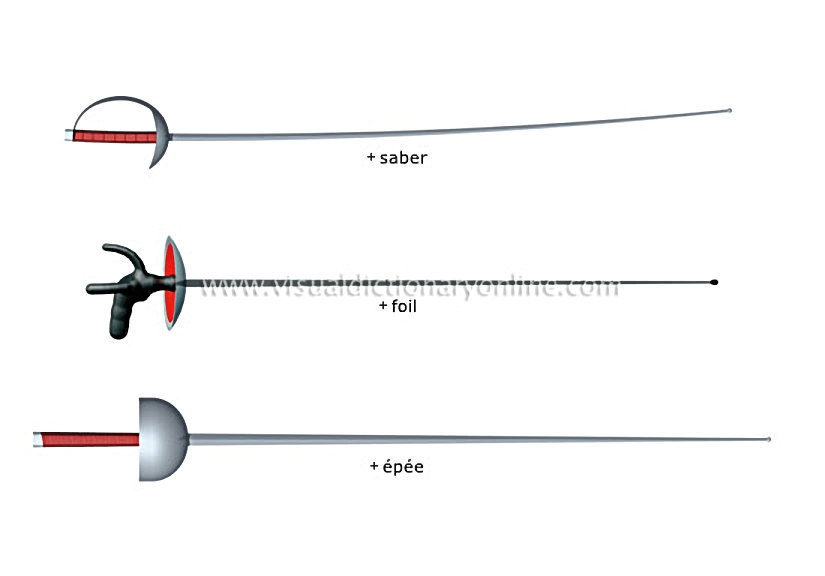 fencing weapons [1]