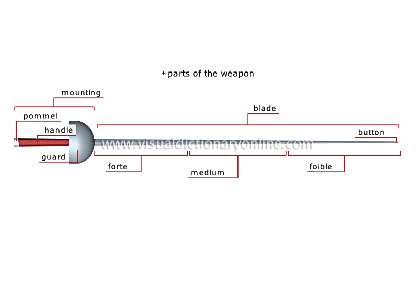 fencing weapons [2]