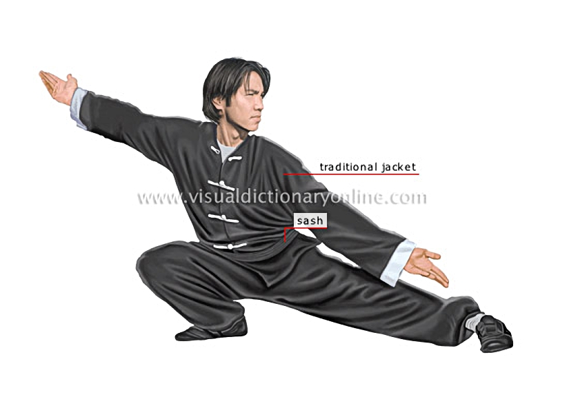 kung fu practitioner