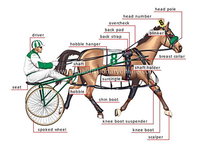 pacer