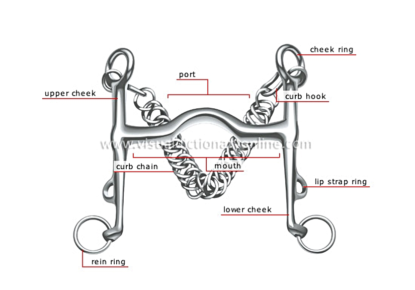 curb bit [1]