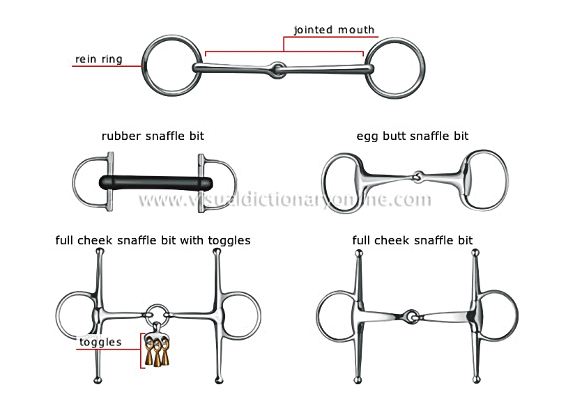 snaffle bit